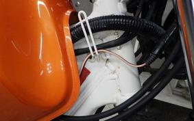 YAMAHA TW225 2022 DG09J
