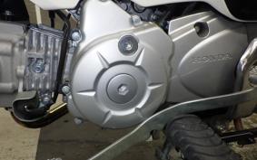HONDA CROSS CUB 50 2024 AA06