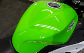 KAWASAKI NINJA 250 EX250L