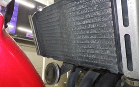 HONDA HORNET 250 2025 MC31