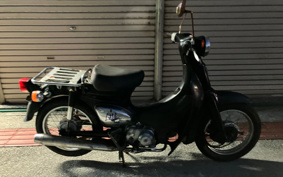 HONDA LITTLE CUB AA01