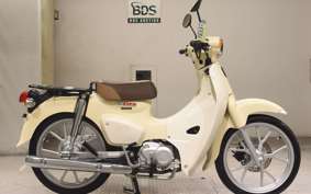 HONDA C110 SUPER CUB JA59