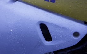 SUZUKI RMX250 S SJ13A