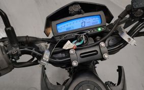 KAWASAKI D-TRACKERX LX250V