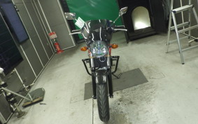 HONDA VTR 250 Gen. 2 MC33