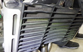 HONDA HORNET 250 MC31