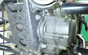 HONDA REBEL 250 S 2011 MC49