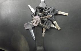 KAWASAKI ELIMINATOR 250 Trike V VN250A