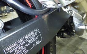 KAWASAKI NINJA 250 2 2019 EX250P