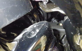 HARLEY FXST1750 2024