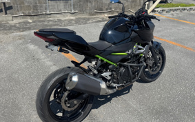 KAWASAKI Z250ABS EX250P