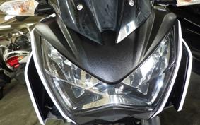 KAWASAKI Z250 ER250C