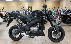 KAWASAKI Z125 PRO BR125H