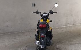 HONDA ZOOMER-X JF38