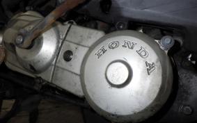 HONDA GIORNO 2019 AF24