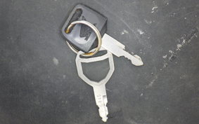 HONDA STEED 400 1989 NC26