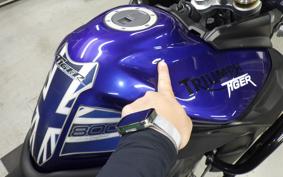 TRIUMPH TIGER 800 2013