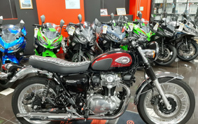 KAWASAKI W800 2024 EJ800E
