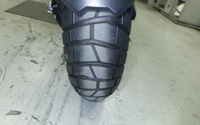 TRIUMPH TIGER 1200 RALLY 2024