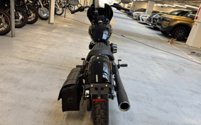 HARLEY  HARLEY FXBB 2020 YJJ