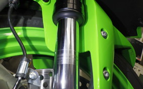 KAWASAKI ZX-4RR 2024 ZX400P