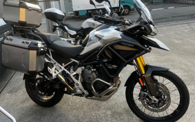 TRIUMPH TIGER 1200 RALLY PRO 2024 TAP20V