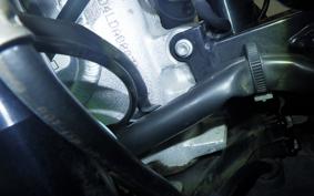 APRILIA RS250 2024