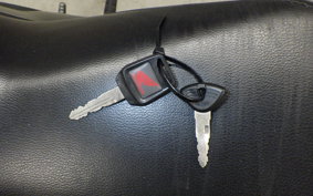 HONDA HORNET 2.0