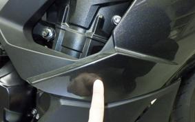 KAWASAKI NINJA 1000 SX 2025 ZXT02K