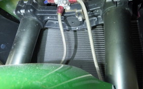 KAWASAKI NINJA 1000 2011