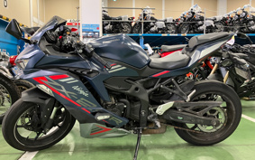 KAWASAKI NINJA ZX-25R SE ZX250E