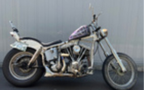 HARLEY FLH1200 2024 445