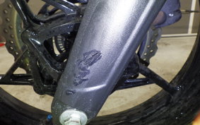 KAWASAKI NINJA 400 2021 EX400G