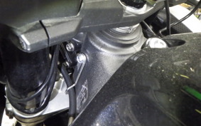 KAWASAKI ZX 1400 NINJA R A 2018