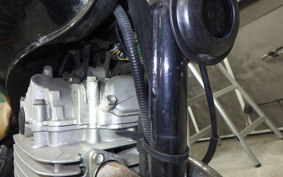 SUZUKI VOLTY 2025 NJ47A