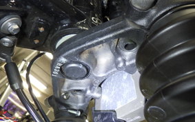 TRIUMPH BONNEVILLE T100 2018