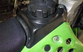 KAWASAKI KX250 F 1994 KX250Y