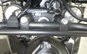 HONDA CRF250L 2024 MD44