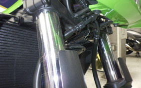 KAWASAKI ZRX1200 D 2015 ZRT20D