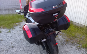 HONDA DIO 110 JF31
