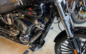 HARLEY FXBR 2025 YE9