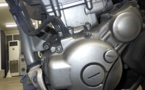 YAMAHA WR250R 2022 DG15J