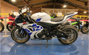 SUZUKI GSX-R1000R 2019 DM11G