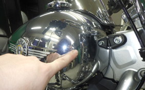 HARLEY FLSTFI1920 2025