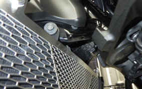 KAWASAKI Z900RS 2023