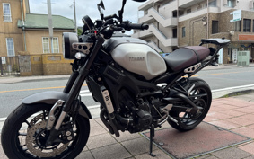 YAMAHA XSR900 2021 RN56J