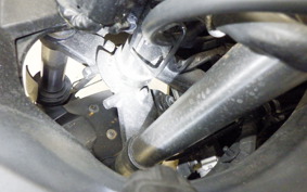 KAWASAKI NINJA 250 EX250L