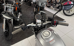 HARLEY X500 2023 W5B