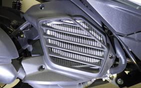 YAMAHA CYGNUS Griffus SEJ4J