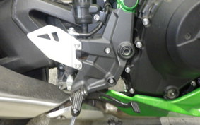 KAWASAKI ZH2 2020 ZRT00K